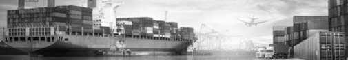 SAP GRC yönetim ihracat